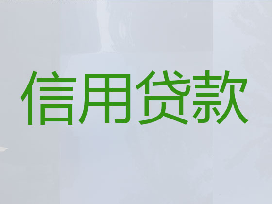 泰兴贷款中介